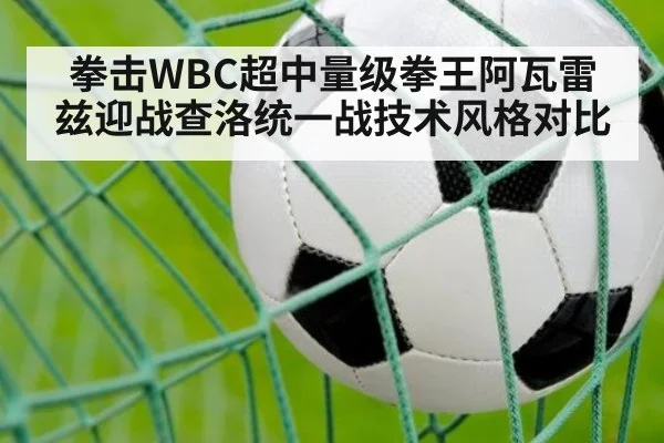 拳击WBC超中量级拳王阿瓦雷兹迎战查洛统一战技术风格对比