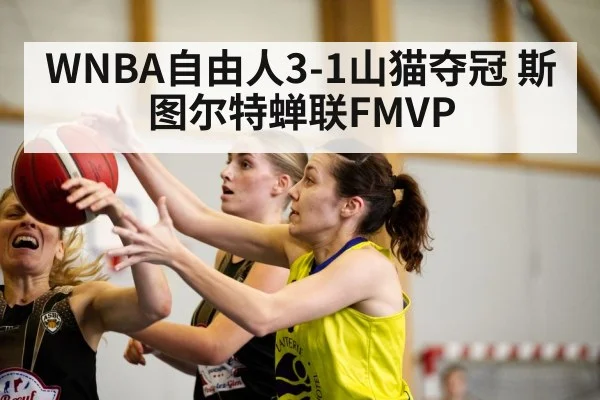 WNBA自由人3-1山猫夺冠 斯图尔特蝉联FMVP